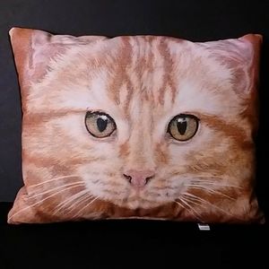 Orange Tabby Cat Face Accent Pillow